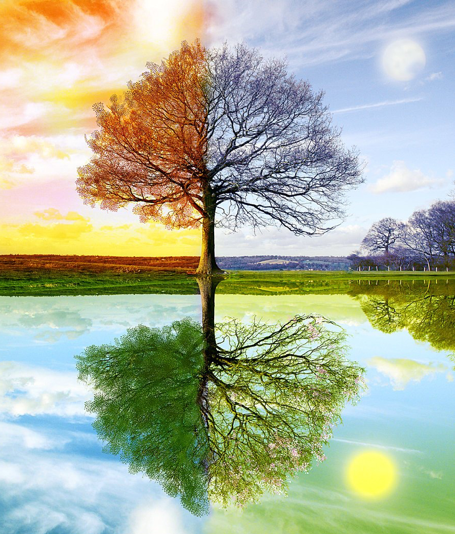 8254F72D-6C63-488F-BF9E-1F61199DE124